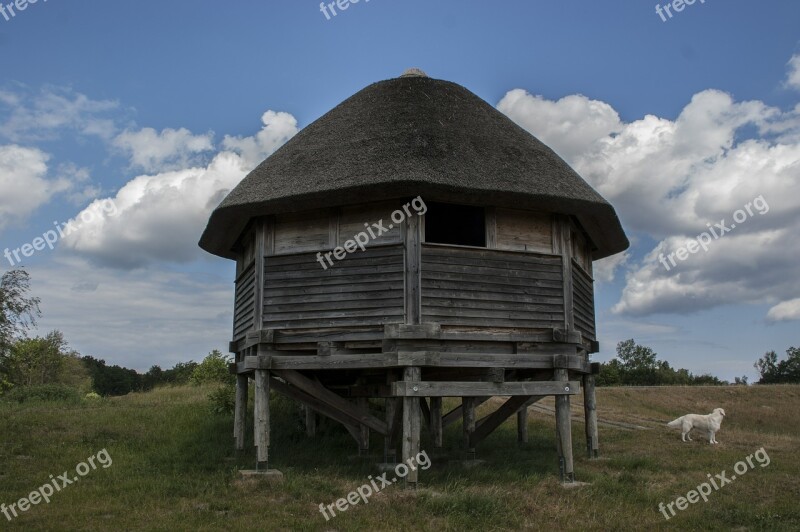 House Thatched Roof Reed Woodhouse Log Cabin