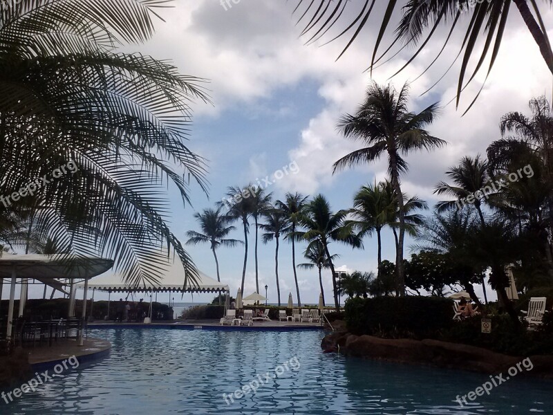 Swimming Pool Pool Water Palms Guam