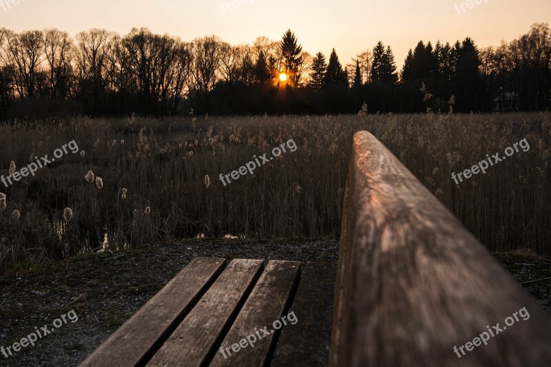 Bank Sunset Twilight Abendstimmung Nature