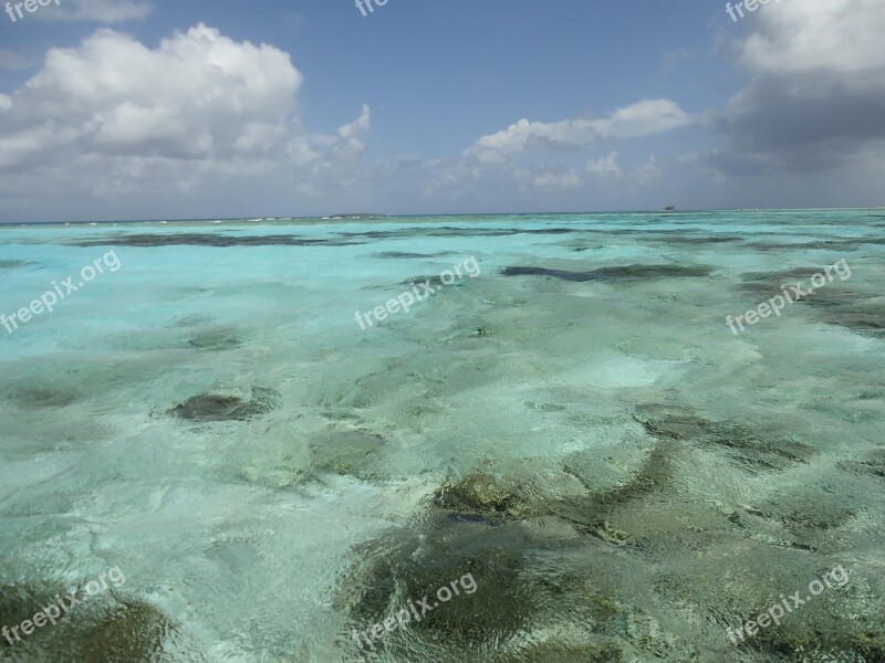 Sea Water Ocean Calm Clarity