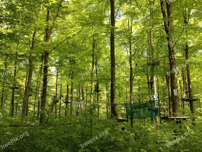 Climbing Garden Forest Nature Trees Landscape