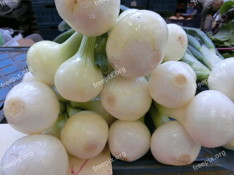 Onion Vegetables Healthy Market Free Photos