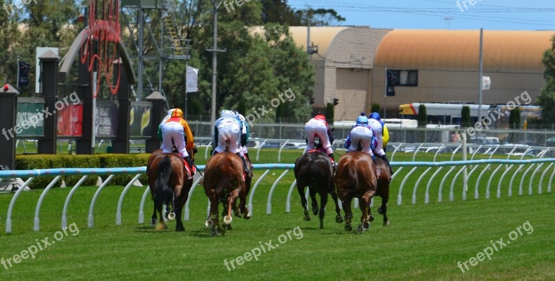 Horses Racing Jockey Sport Rider