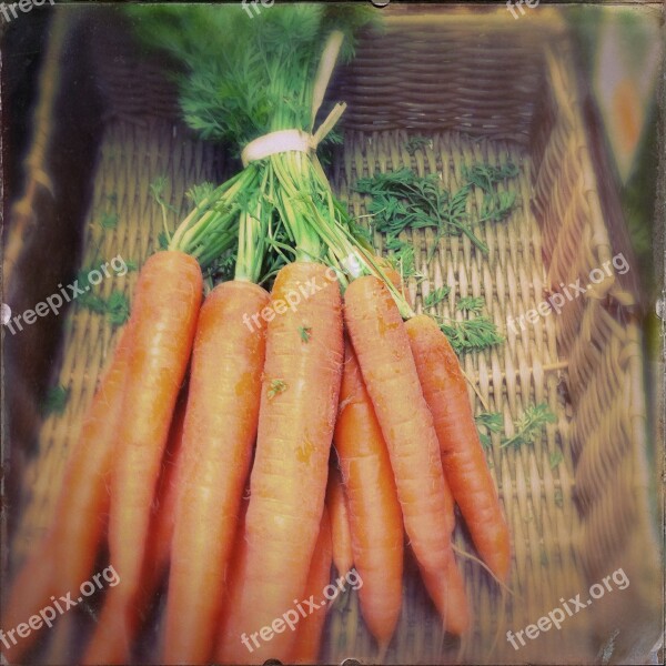 Carrots Bio Basket Free Photos