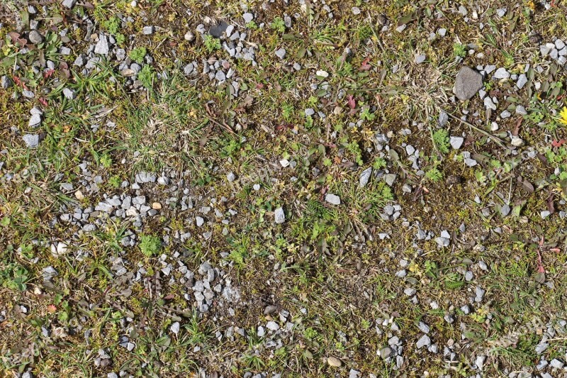 Ground Stones Grass Pebble Steinchen