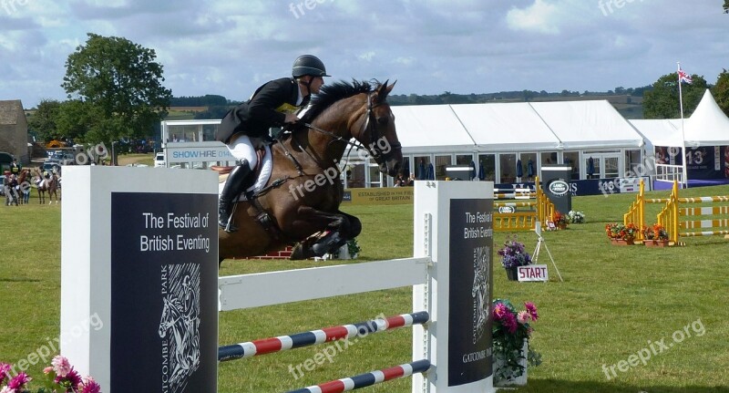 Horse Rider Jumping Sport Equine