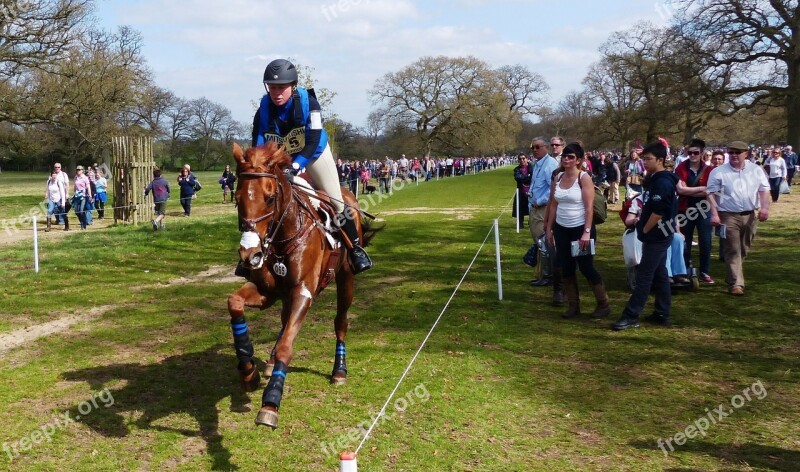 Horse Trails Galloping Rider Outdoor Free Photos