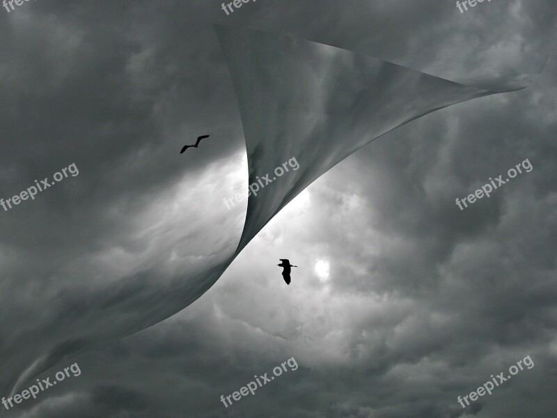 Cloudscape Birds Clouds Weather Gray