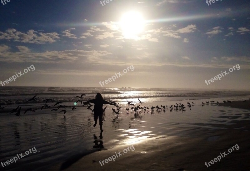 Child Playing Birds Beach Ocean Water