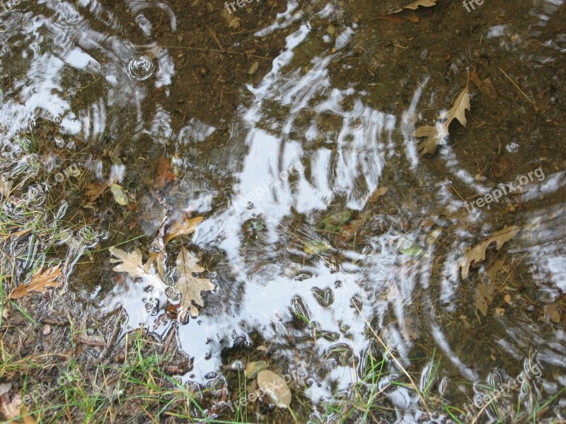 Rain Puddle Reflection Water Nature