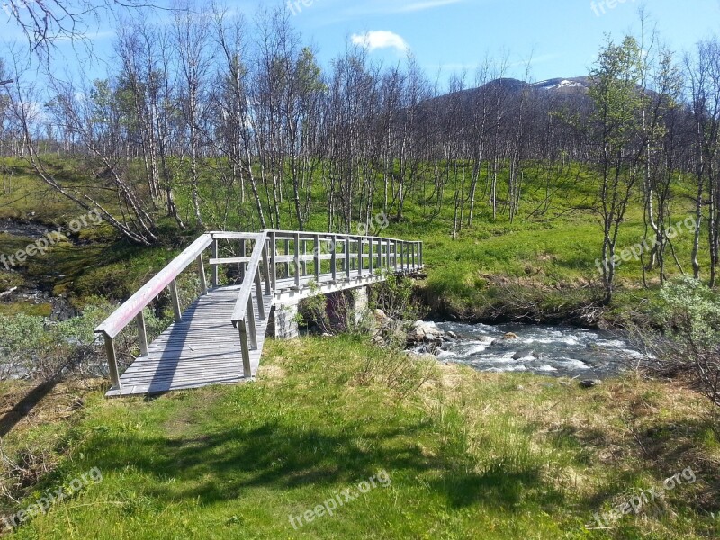 Mountain Bro Norrland Stream Summer