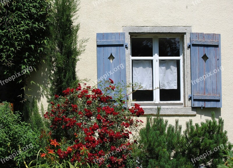 Window Shutter Garden Old Rose Bush