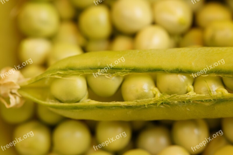 Pea Pod Peas Fresh Pod Green