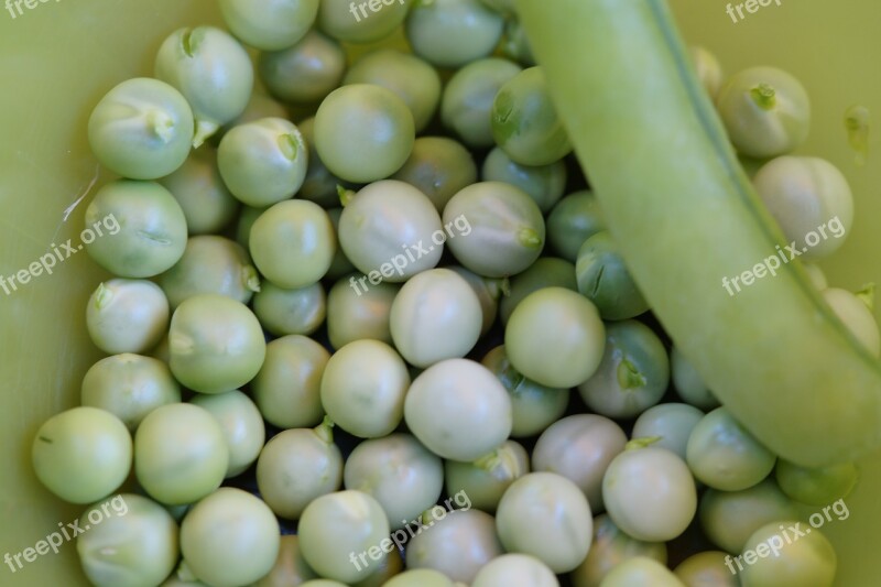 Peas Pea Pod Vegetables Shelling Shelling Peas