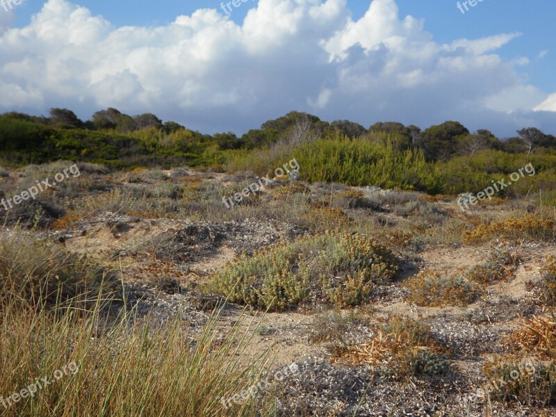 Dunes Dune Landscape Landscape Mediterranean Sand