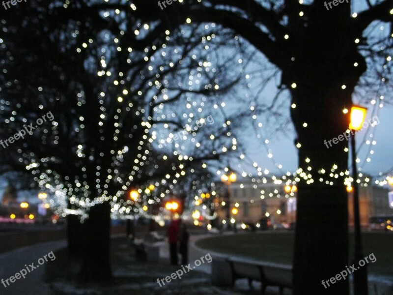 City Lights Evening Winter Street