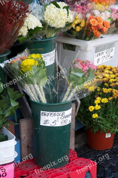 Florist Flowers Shop Store Free Photos