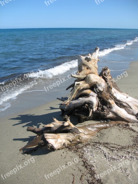 Corsica Sea Beach Free Photos