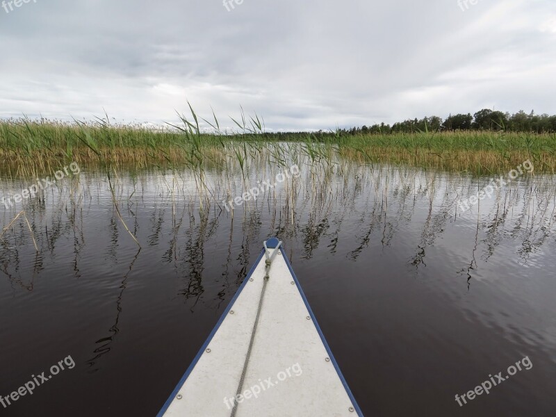 Canoeing Bug Lake Reed Landscape