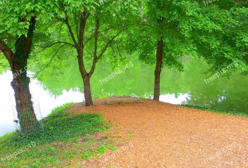 Lake Trees Peaceful Bench Green