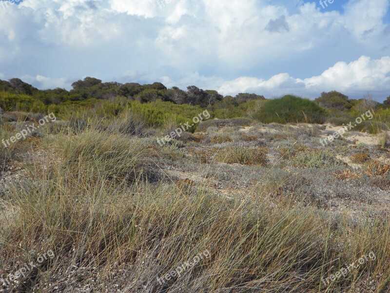 Dunes Dune Landscape Empty Fouling Sandy