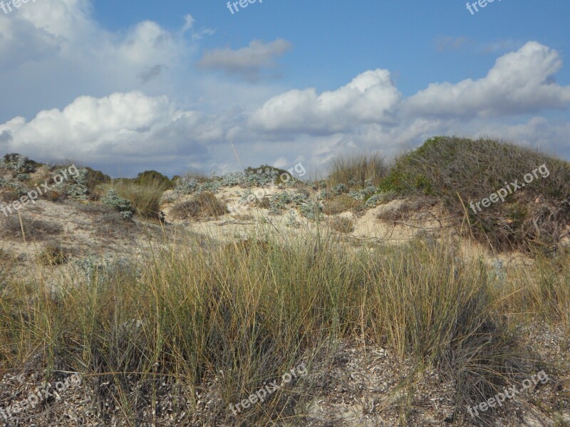 Dunes Dune Landscape Empty Fouling Sandy