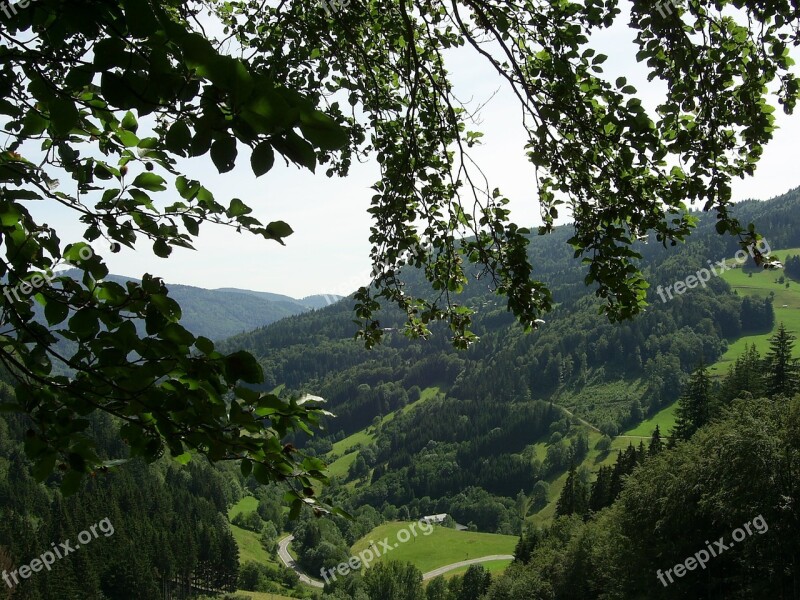 Black Forest Mountains Forest Valley Landscape