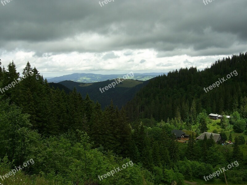 Black Forest Forest Germany Clouds Weird