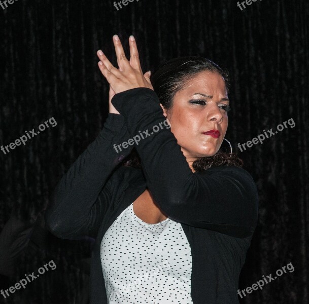 Dancer Flamenco Dance Music Spanish