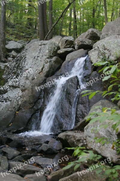 Waterfall Forest Nature Water Fresh