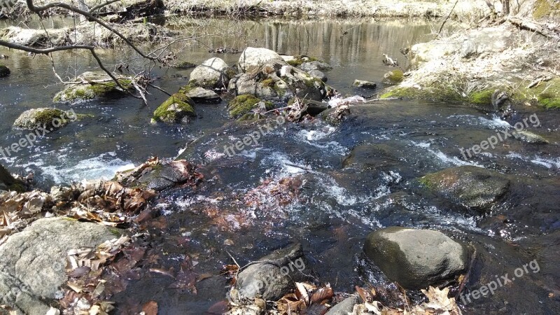 Rapids Water Stream Nature Free Photos