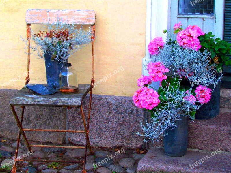 Old Chair Flowers Silent Rest Beautiful