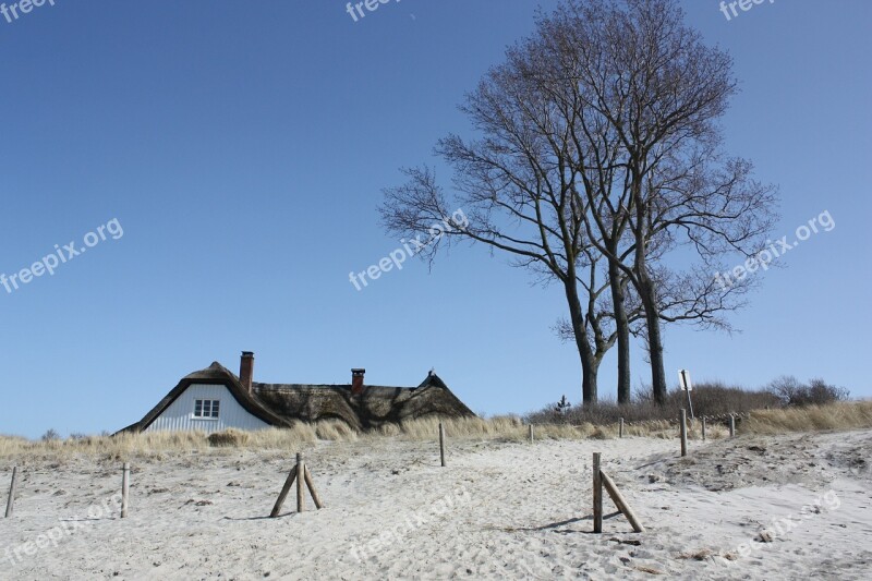 Ahrenshoop Windfluechter Beach Reed Coast