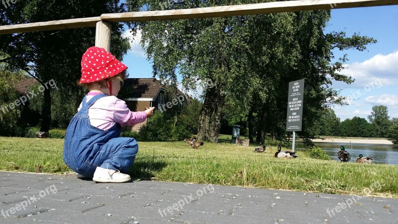 Small Child Baby Child More Duck Pond