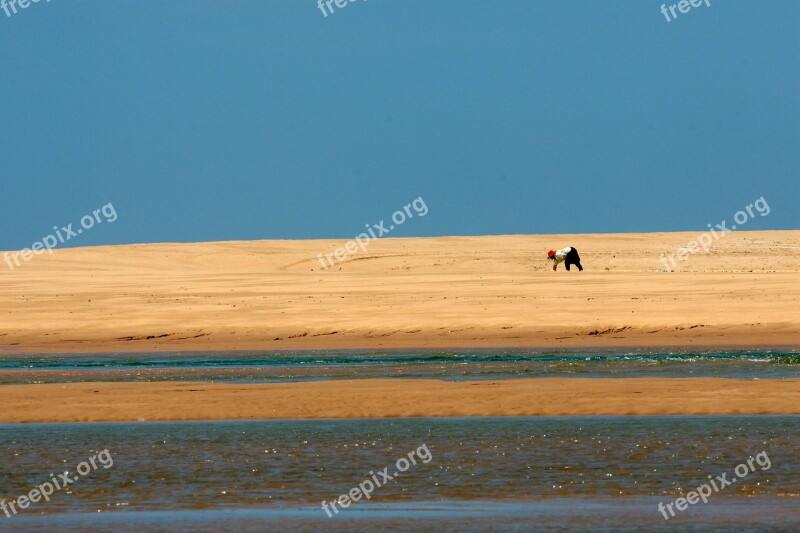 Beach Sand Dune Water Person