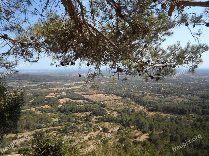 Mallorca Landscape Outlook Agriculture View