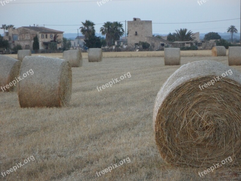 Straw Bales Hay Bales Field Abendstimmung Mowed