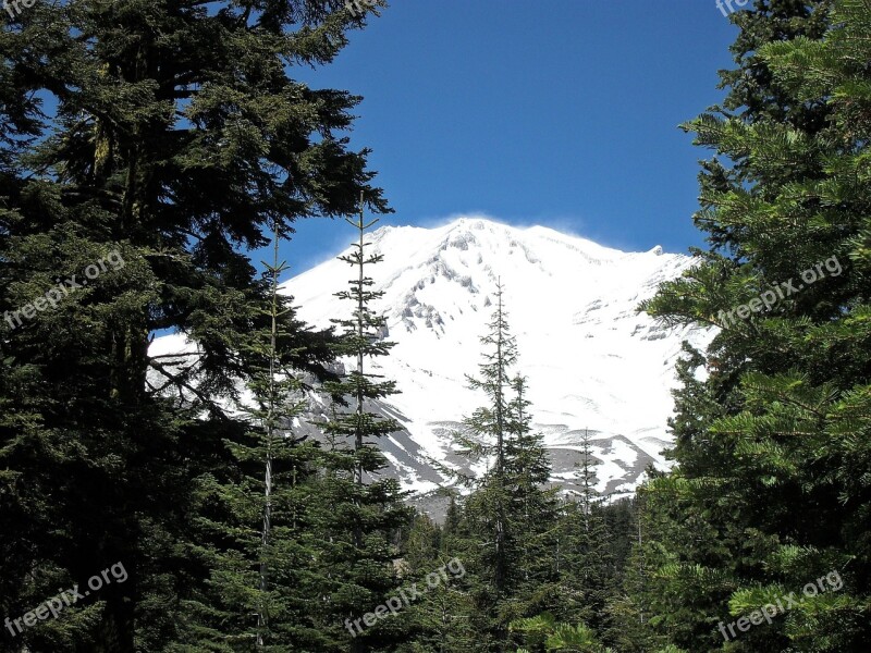 Mount Shasta Mountain Trees Landscape Natural