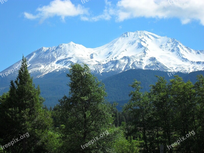 Mount Shasta Trees Blue Green Landscape