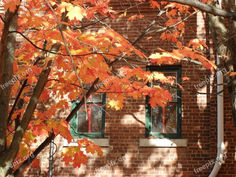 Fall Autumn New England Brick Red