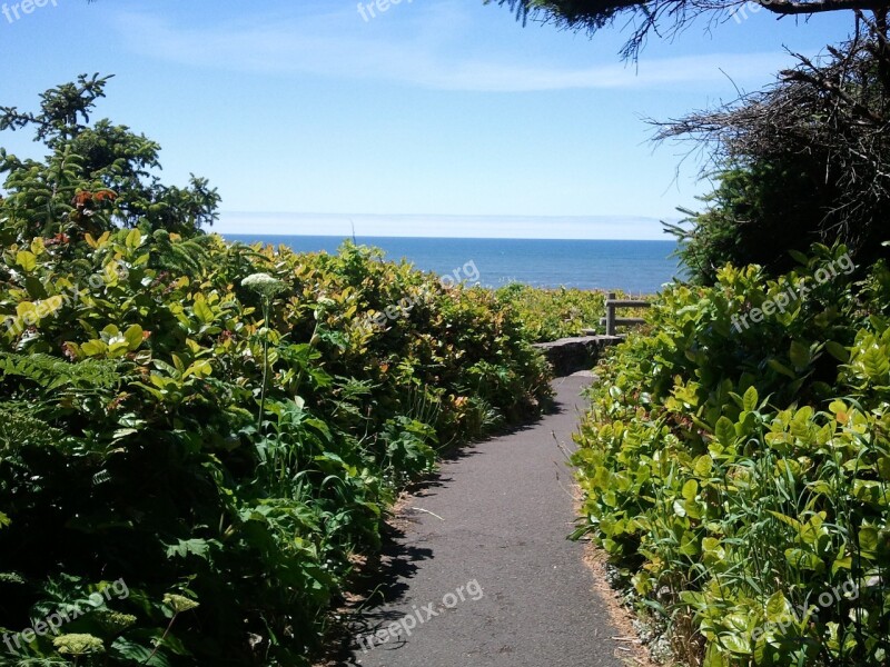 Trail Path Sea Scenic Nature