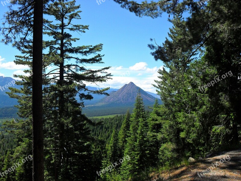 Mountain Trees Landscape Nature Forest