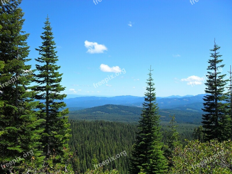 Forest Sky Green Blue Hills