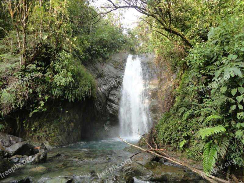 Cascade Rain Forest Waterfall Jungle Wild