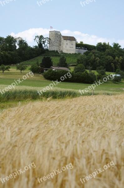 Closed Habsburg Aargau Switzerland Cornfield Landscape