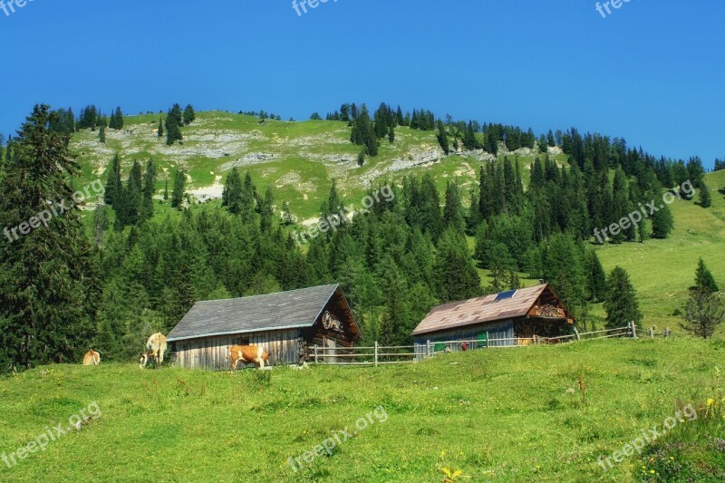 Styria Austria Landscape Scenic Hill