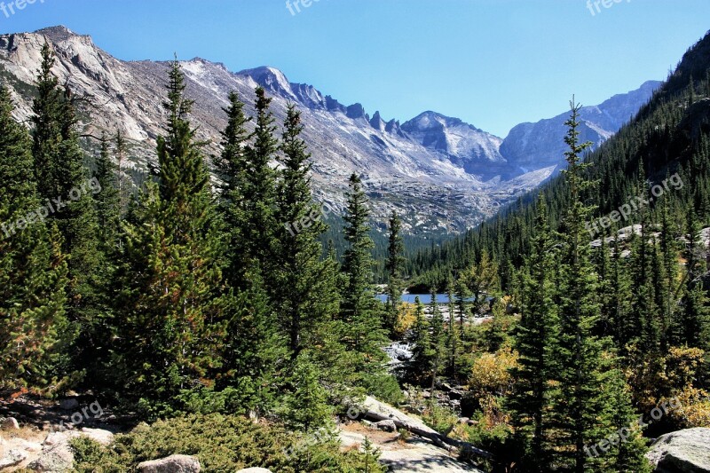 Mountains Forest Trees Outdoor Beautiful