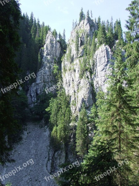 Miracles Karst Forest Cave Cliff