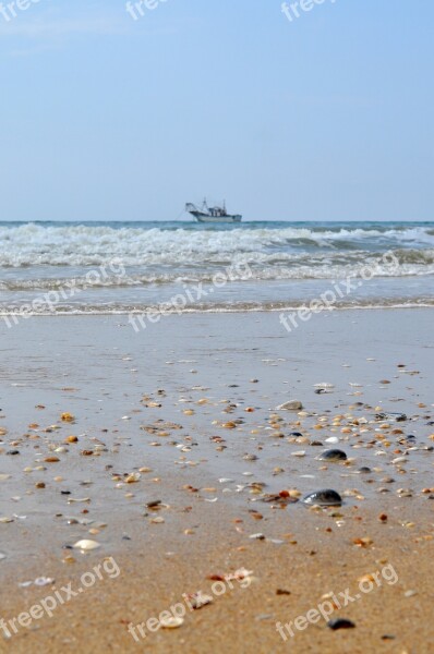 Fishing Boat Shells Sea The Antilla Lepe