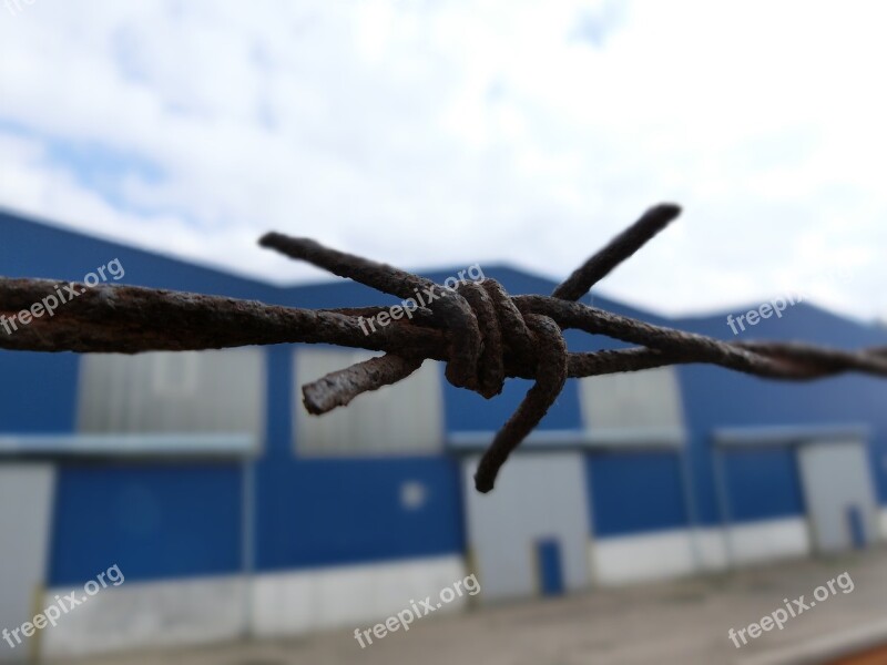 Barbed Wire Wire Demarcation Rust Free Photos